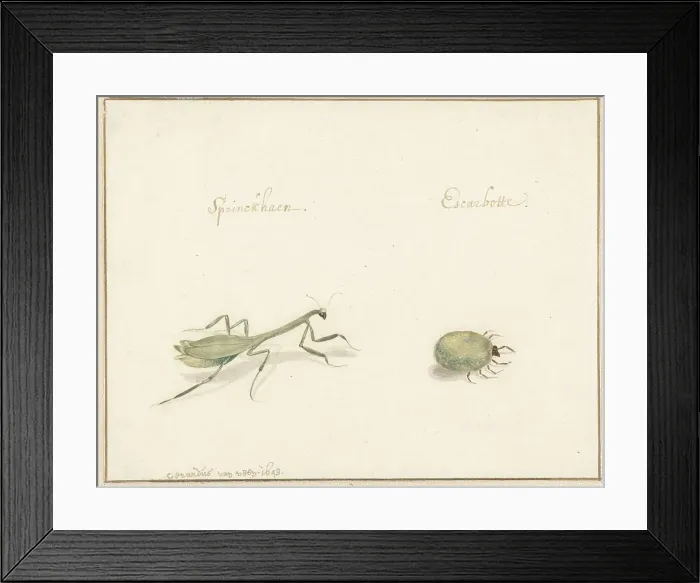 Framed Print : Two insects, 1643-1648. Creator: Gerardus van Veen Framed Print : Two insects, 1643-1648. Creator: Gerardus van Veen