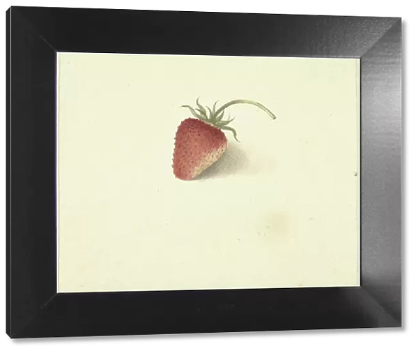 Strawberry, 1818-1853. Creator: Elisabeth Geertruida van de Kasteele