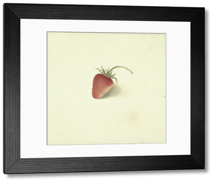 Framed Print : Strawberry, 1818-1853. Creator: Elisabeth Geertruida van de Kasteele Framed Print : Strawberry, 1818-1853. Creator: Elisabeth Geertruida van de Kasteele