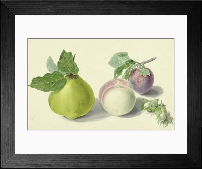 Framed Print : A pear, peach, plum and nuts, 1818-1853. Creator: Elisabeth Geertruida van de Kasteele Framed Print : A pear, peach, plum and nuts, 1818-1853. Creator: Elisabeth Geertruida van de Kasteele