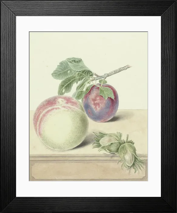 Framed Print : Peach, a plum with leaves and a few nuts, 1818-1853. Creator: Elisabeth Geertruida van de Kasteele Framed Print : Peach, a plum with leaves and a few nuts, 1818-1853. Creator: Elisabeth Geertruida van de Kasteele