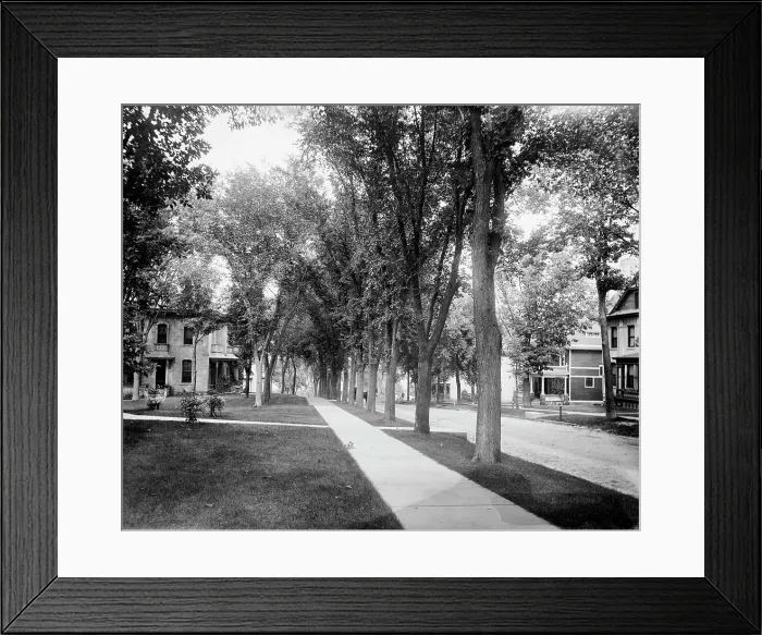 Framed Print : Madison, Wisconsin, East Gilman Street, between 1880 and 1899. Creator: Unknown Framed Print : Madison, Wisconsin, East Gilman Street, between 1880 and 1899. Creator: Unknown