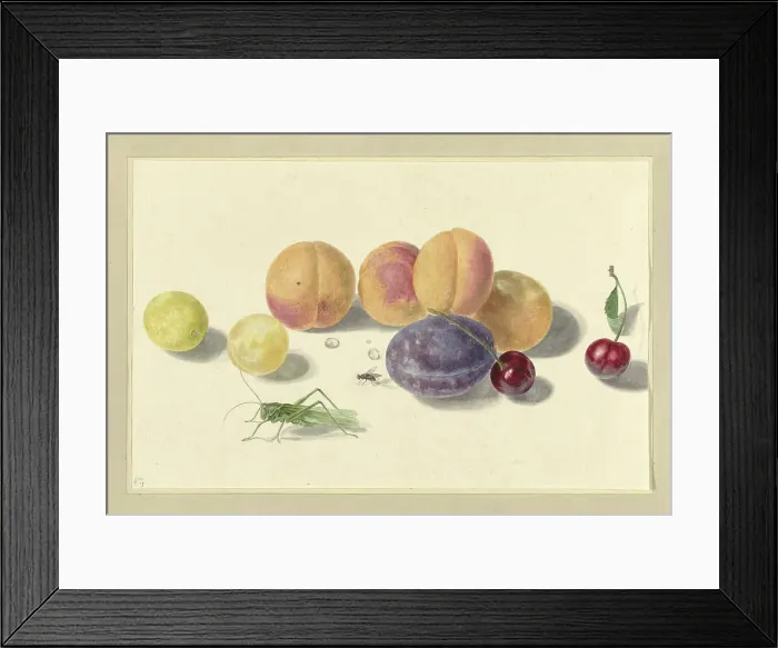Framed Print : Peaches, plums, cherries and two bugs, 1818-1853. Creator: Elisabeth Geertruida van de Kasteele Framed Print : Peaches, plums, cherries and two bugs, 1818-1853. Creator: Elisabeth Geertruida van de Kasteele
