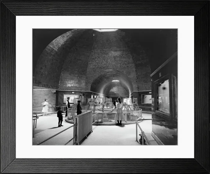 Framed Print : Aquarium, Belle Isle Park, interior, Detroit, Mich. between 1900 and 1910. Creator: Unknown Framed Print : Aquarium, Belle Isle Park, interior, Detroit, Mich. between 1900 and 1910. Creator: Unknown