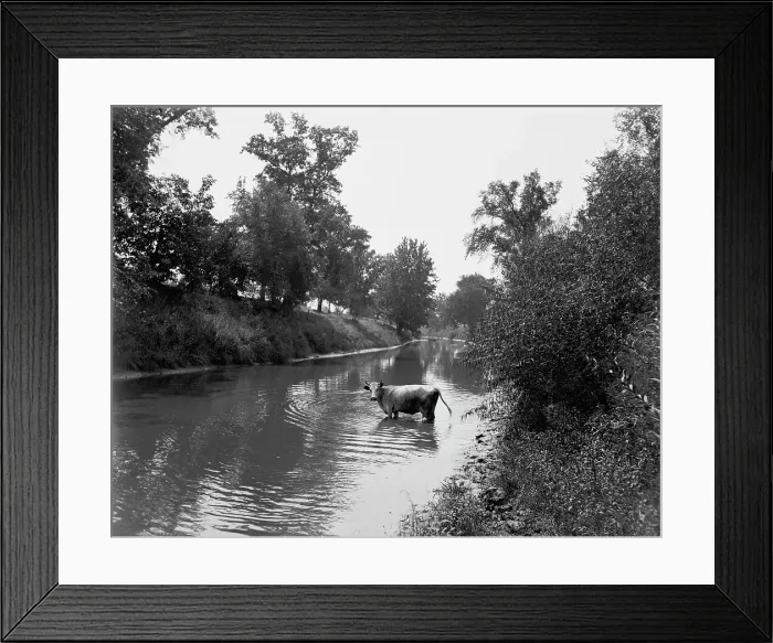 Framed Print : Baraboo River near Ableman's, between 1880 and 1899. Creator: Unknown Framed Print : Baraboo River near Ableman's, between 1880 and 1899. Creator: Unknown