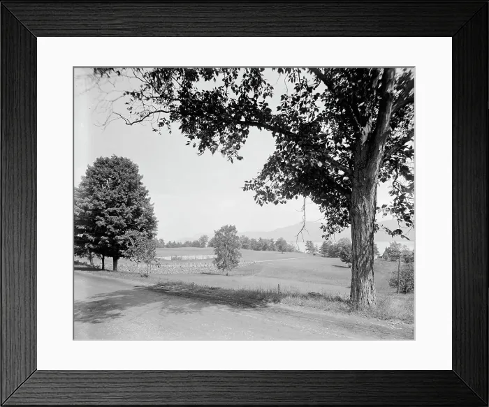 Framed Print : Lake George Country Club, golf links on Lake George, N.Y. between 1900 and 1910. Creator: Unknown Framed Print : Lake George Country Club, golf links on Lake George, N.Y. between 1900 and 1910. Creator: Unknown