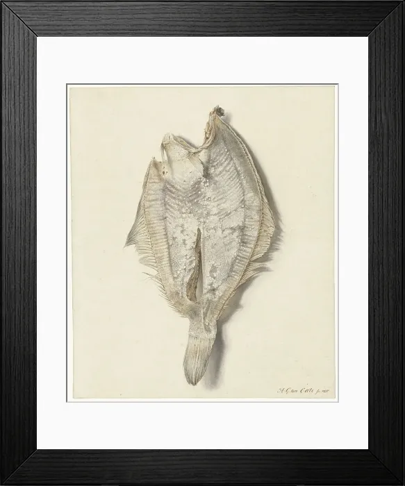 Framed Print : Dab, 1837. Creator: Hendrik Gerrit ten Cate Framed Print : Dab, 1837. Creator: Hendrik Gerrit ten Cate