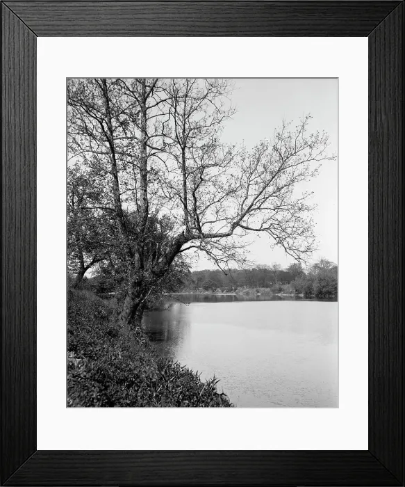 Framed Print : The White River, Riverside Park, Indianapolis, Ind. between 1900 and 1910. Creator: Unknown Framed Print : The White River, Riverside Park, Indianapolis, Ind. between 1900 and 1910. Creator: Unknown