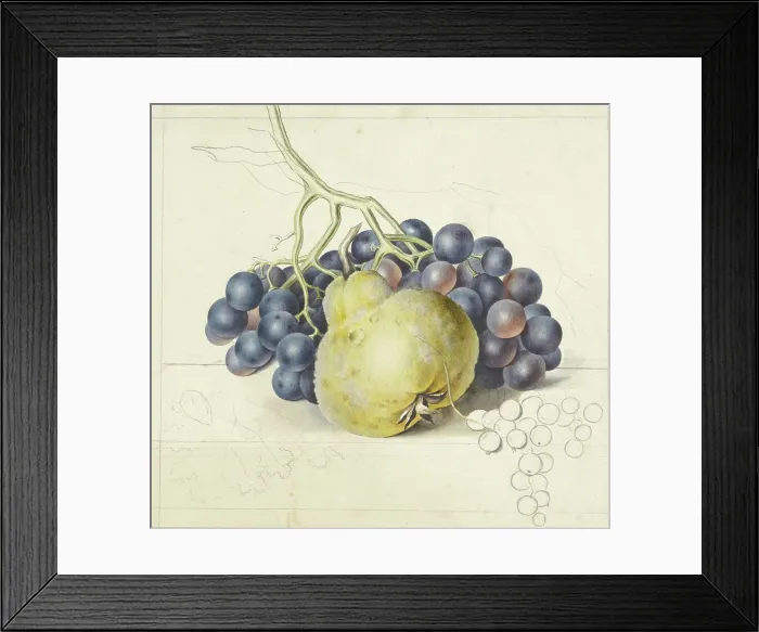 Framed Print : Still life with grapes and a pear, 1792-1861. Creator: Georgius Jacobus Johannes van Os Framed Print : Still life with grapes and a pear, 1792-1861. Creator: Georgius Jacobus Johannes van Os