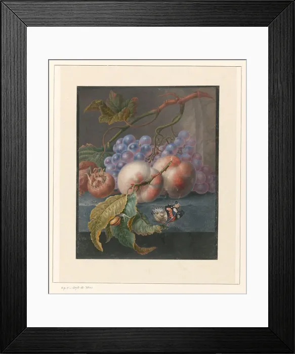 Framed Print : Fruit with a butterfly and a snail, 1677-1726. Creator: Herman Henstenburgh Framed Print : Fruit with a butterfly and a snail, 1677-1726. Creator: Herman Henstenburgh