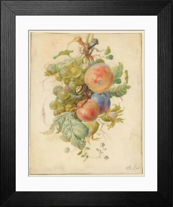 Framed Print : Fruit, 1677-1726. Creator: Herman Henstenburgh Framed Print : Fruit, 1677-1726. Creator: Herman Henstenburgh