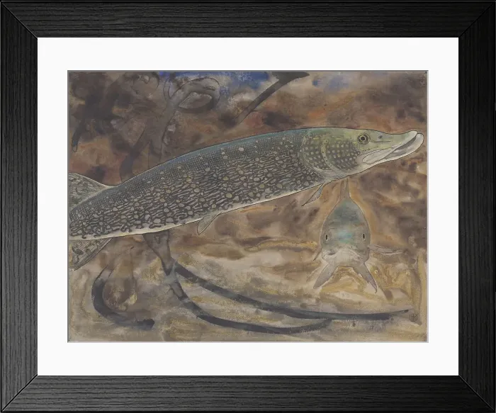 Framed Print : Two Pike in an aquarium, seen from the side and from the front, c.1876-c.1924. Creator: Gerrit Willem Dijsselhof Framed Print : Two Pike in an aquarium, seen from the side and from the front, c.1876-c.1924. Creator: Gerrit Willem Dijsselhof