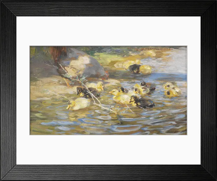 Framed Print : Ducks. Creator: Rudolf Schramm-Zittau Framed Print : Ducks. Creator: Rudolf Schramm-Zittau