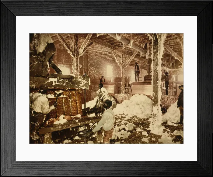 Framed Print : Mississippi cotton gin at Dahomey, c1898. Creator: Unknown Framed Print : Mississippi cotton gin at Dahomey, c1898. Creator: Unknown