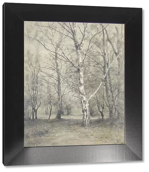 Forest with birch trees, 1875-1910. Creator: Alphonse Stengelin