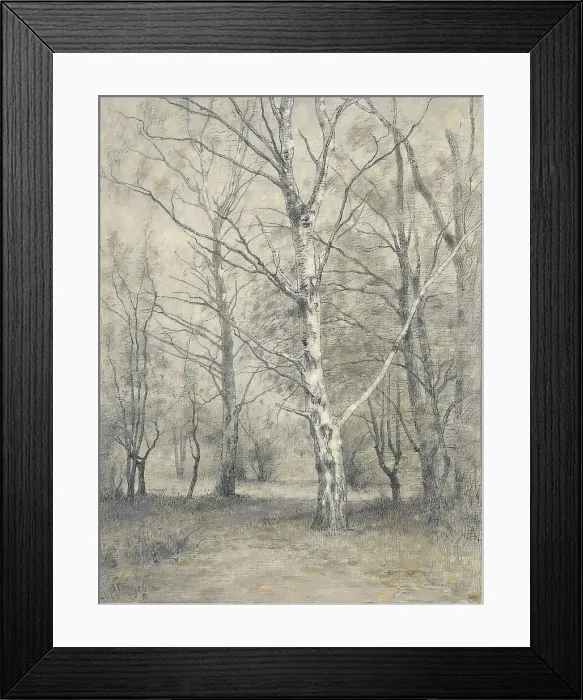 Framed Print : Forest with birch trees, 1875-1910. Creator: Alphonse Stengelin Framed Print : Forest with birch trees, 1875-1910. Creator: Alphonse Stengelin