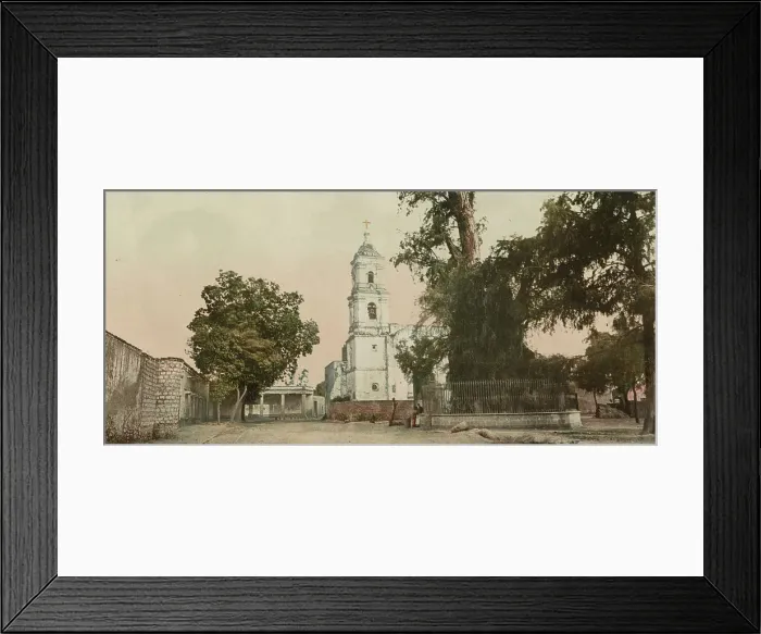 Framed Print : The tree of Noche Triste, Popotla, between 1884 and 1900. Creator: William H. Jackson Framed Print : The tree of Noche Triste, Popotla, between 1884 and 1900. Creator: William H. Jackson