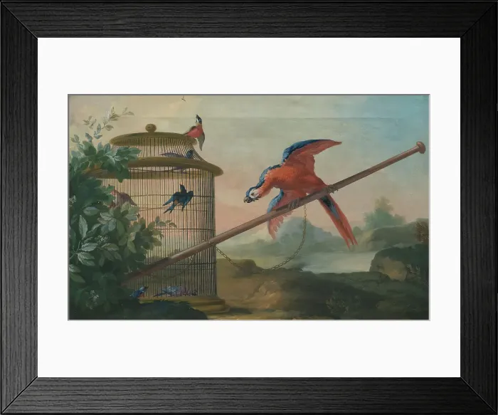 Framed Print : Birds, 1750s. Creator: Johan Pasch Framed Print : Birds, 1750s. Creator: Johan Pasch