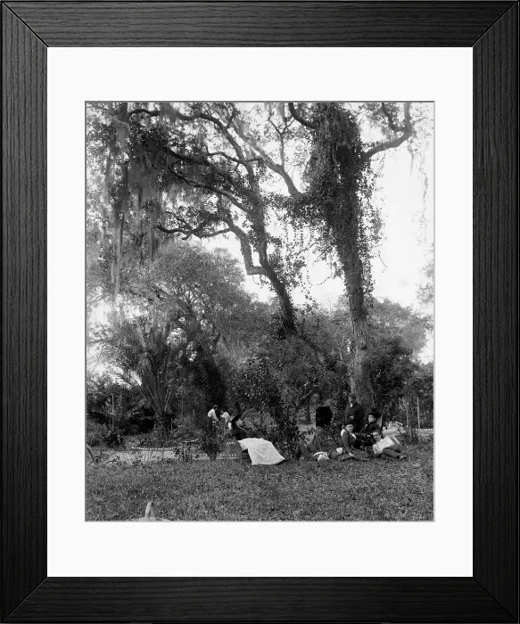 Framed Print : Garden near Daytona, between 1880 and 1897. Creator: William H. Jackson Framed Print : Garden near Daytona, between 1880 and 1897. Creator: William H. Jackson