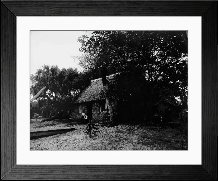 Framed Print : Dawson's, Gem Island, Indian River, between 1880 and 1897. Creator: William H. Jackson Framed Print : Dawson's, Gem Island, Indian River, between 1880 and 1897. Creator: William H. Jackson