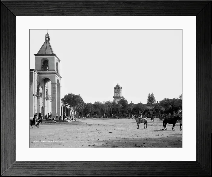 Framed Print : Hacienda Peotillos, between 1880 and 1897. Creator: William H. Jackson Framed Print : Hacienda Peotillos, between 1880 and 1897. Creator: William H. Jackson