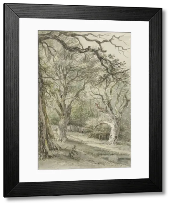Framed Print : Forest face, 1776-1822. Creator: Jan Hulswit Framed Print : Forest face, 1776-1822. Creator: Jan Hulswit