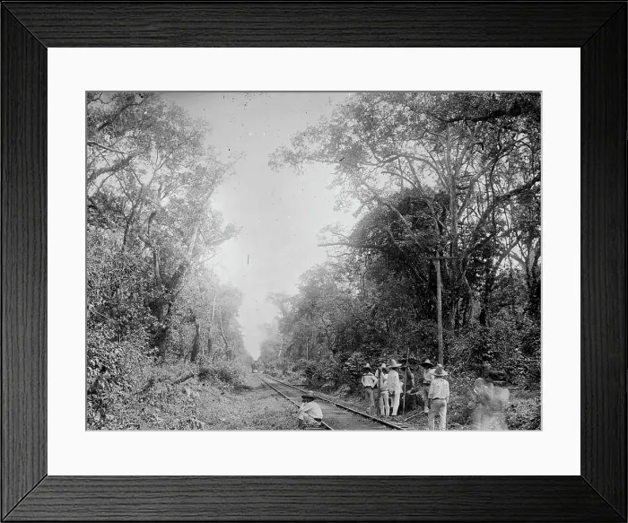 Framed Print : Train in the Cafetal of Temasopa (i.e. Tamasopo), between 1880 and 1897. Creator: William H. Jackson Framed Print : Train in the Cafetal of Temasopa (i.e. Tamasopo), between 1880 and 1897. Creator: William H. Jackson