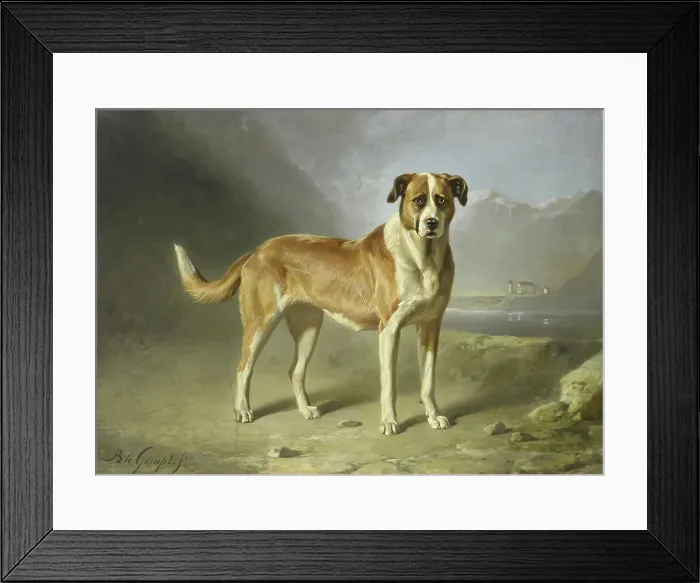 Framed Print : A St Bernard Dog, c.1850-c.1879. Creator: Bernard te Gempt Framed Print : A St Bernard Dog, c.1850-c.1879. Creator: Bernard te Gempt