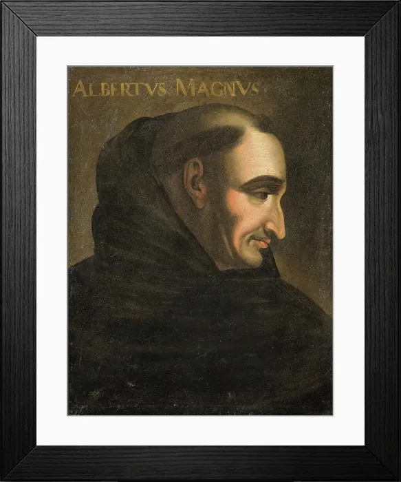 Framed Print : Albertus, 1193-1280. Creator: Anon Framed Print : Albertus, 1193-1280. Creator: Anon
