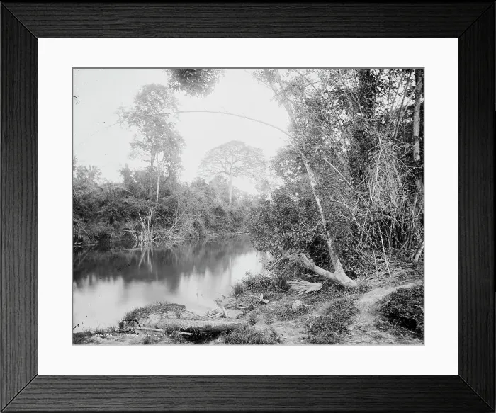 Framed Print : Temasopa (i.e. Tamasopo) River, between 1880 and 1897. Creator: William H. Jackson Framed Print : Temasopa (i.e. Tamasopo) River, between 1880 and 1897. Creator: William H. Jackson