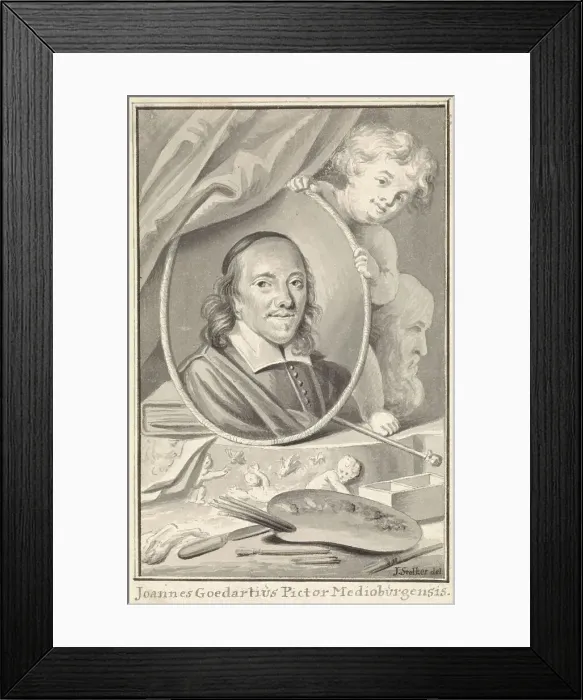 Framed Print : Portrait of Johannes Goedaert, 1734-1785. Creator: Jan Stolker Framed Print : Portrait of Johannes Goedaert, 1734-1785. Creator: Jan Stolker