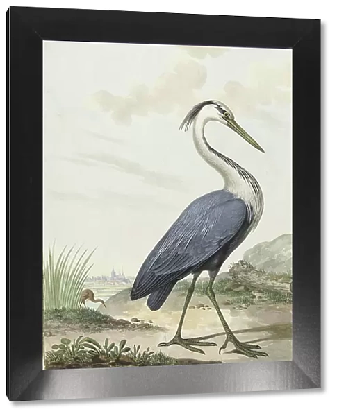 Great Blue Heron, 1776. Creator: Jabes Heenck