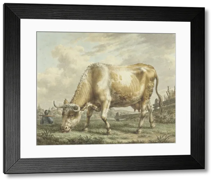 Framed Print : Grazing Cow, 1783. Creator: Jacob Cats Framed Print : Grazing Cow, 1783. Creator: Jacob Cats