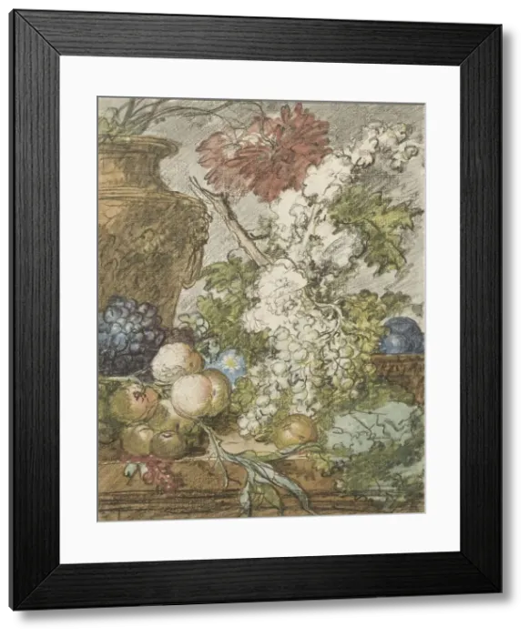 Framed Print : Sketch for a Still Life of Fruit and Flowers, c.1725-c.1735. Creator: Jan van Huysum Framed Print : Sketch for a Still Life of Fruit and Flowers, c.1725-c.1735. Creator: Jan van Huysum