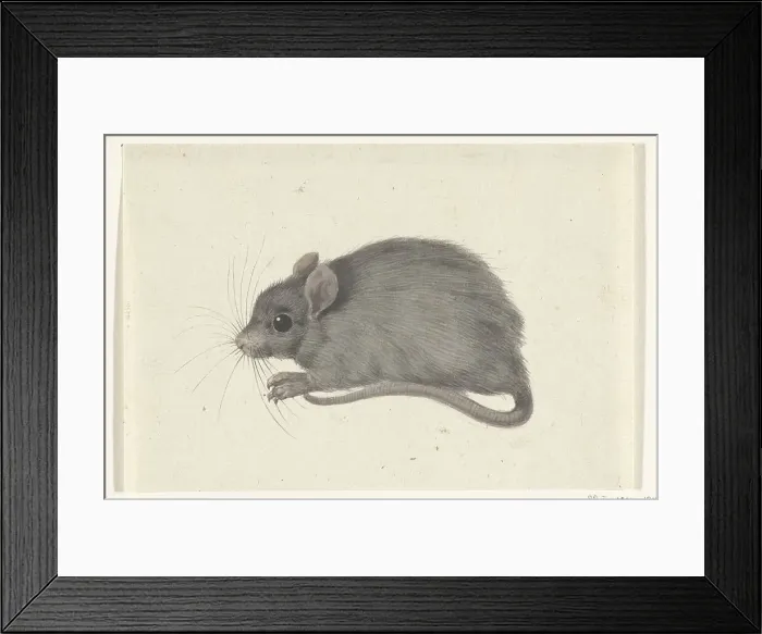 Framed Print : Mouse, to the left, 1775-1833. Creator: Jean Bernard Framed Print : Mouse, to the left, 1775-1833. Creator: Jean Bernard