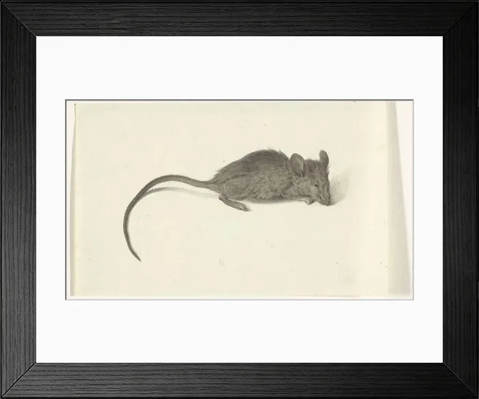 Framed Print : Mouse, to the right, 1775-1833. Creator: Jean Bernard Framed Print : Mouse, to the right, 1775-1833. Creator: Jean Bernard
