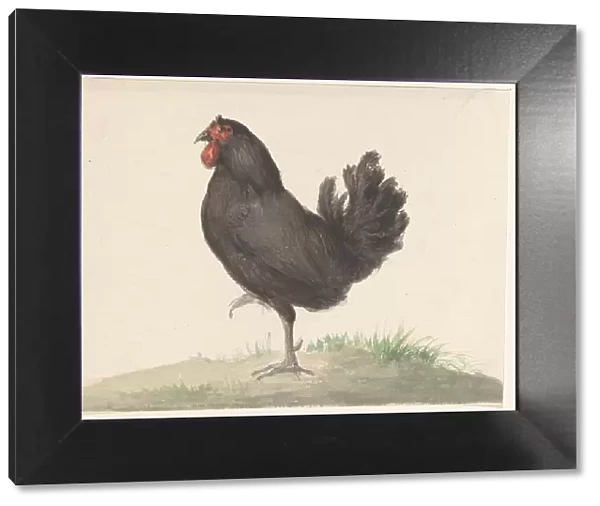 Standing black chicken, 1775-1833. Creator: Jean Bernard