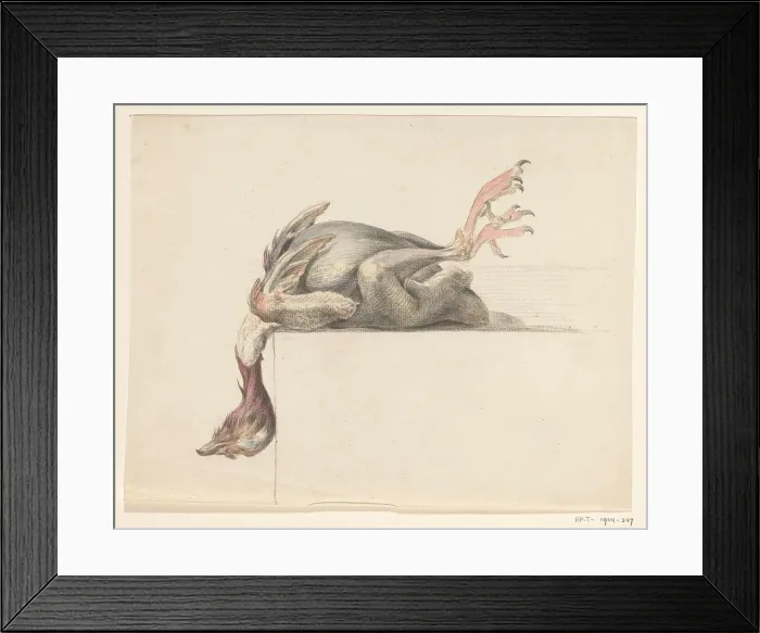 Framed Print : Plucked bird, hanging down with the head, 1775-1833. Creator: Jean Bernard Framed Print : Plucked bird, hanging down with the head, 1775-1833. Creator: Jean Bernard