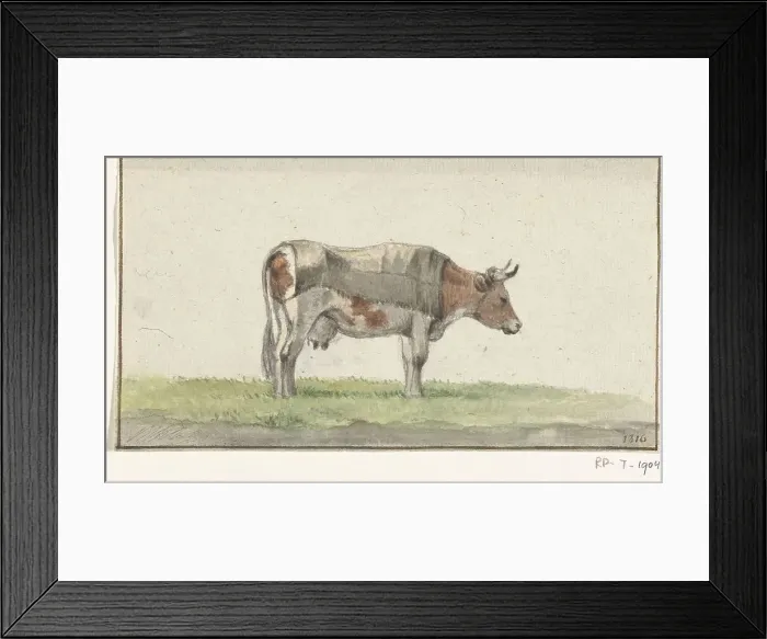 Framed Print : Standing cow, to the right, 1816. Creator: Jean Bernard Framed Print : Standing cow, to the right, 1816. Creator: Jean Bernard