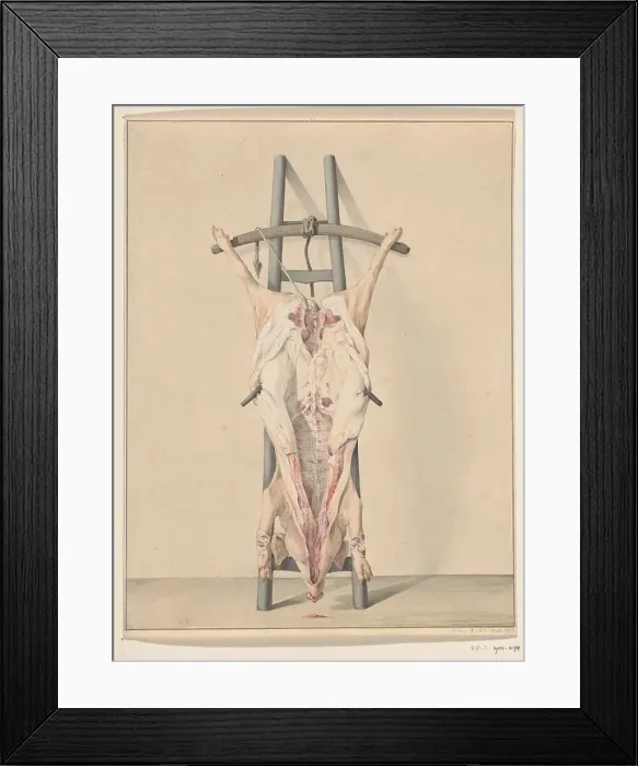 Framed Print : Slaughtered pig, 1796. Creator: Jean Bernard Framed Print : Slaughtered pig, 1796. Creator: Jean Bernard