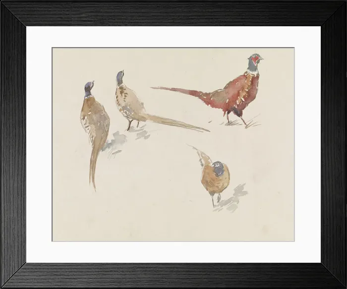 Framed Print : Four pheasants, 1864-1936. Creator: Johannes Cornelis van Essen Framed Print : Four pheasants, 1864-1936. Creator: Johannes Cornelis van Essen