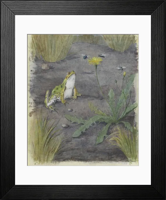 Framed Print : Frog by a Dandelion with Flies, c.1877-c.1938. Creator: Joan van Noort Framed Print : Frog by a Dandelion with Flies, c.1877-c.1938. Creator: Joan van Noort