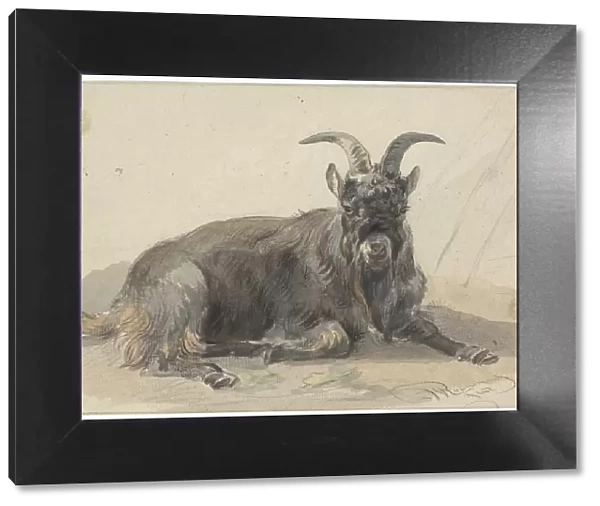 Lying black goat, 1799-1869. Creator: Jan van Ravenswaay