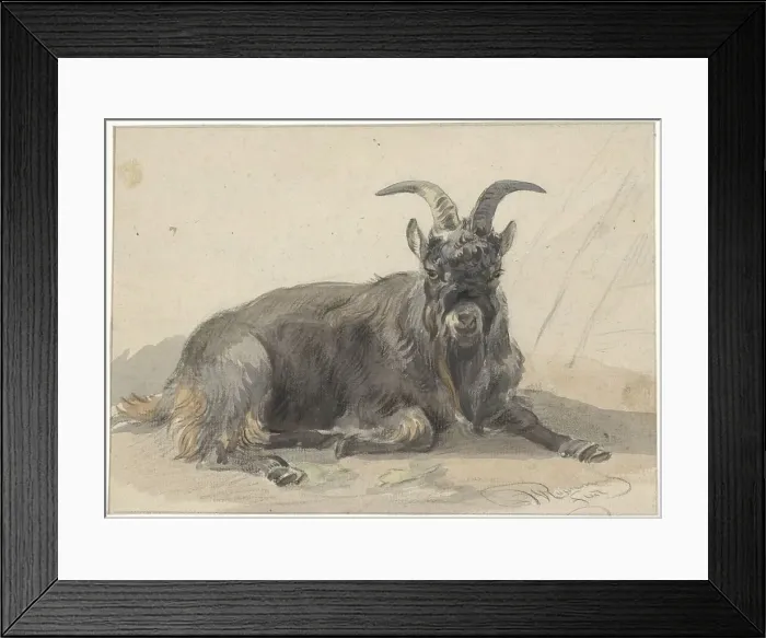 Framed Print : Lying black goat, 1799-1869. Creator: Jan van Ravenswaay Framed Print : Lying black goat, 1799-1869. Creator: Jan van Ravenswaay