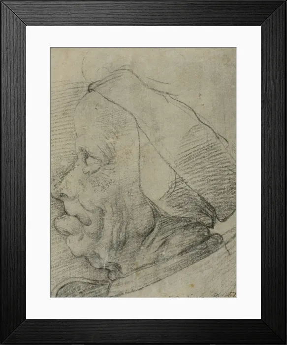 Framed Print : Grotesque head in profile, c15th century. Creator: Anon Framed Print : Grotesque head in profile, c15th century. Creator: Anon