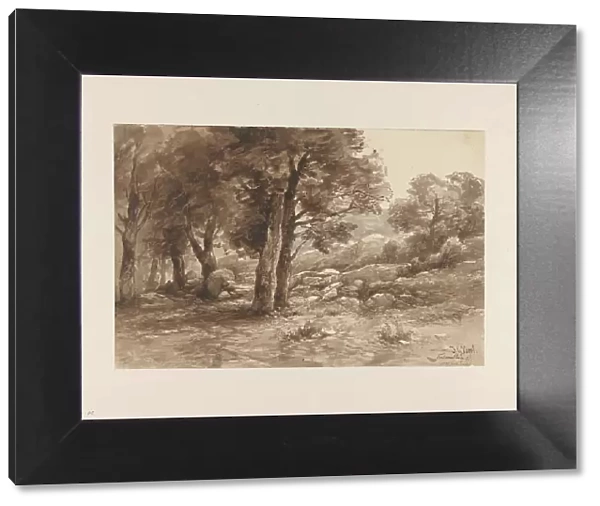 Rocky landscape with trees, 1869. Creator: Johannes Gysbert Vogel