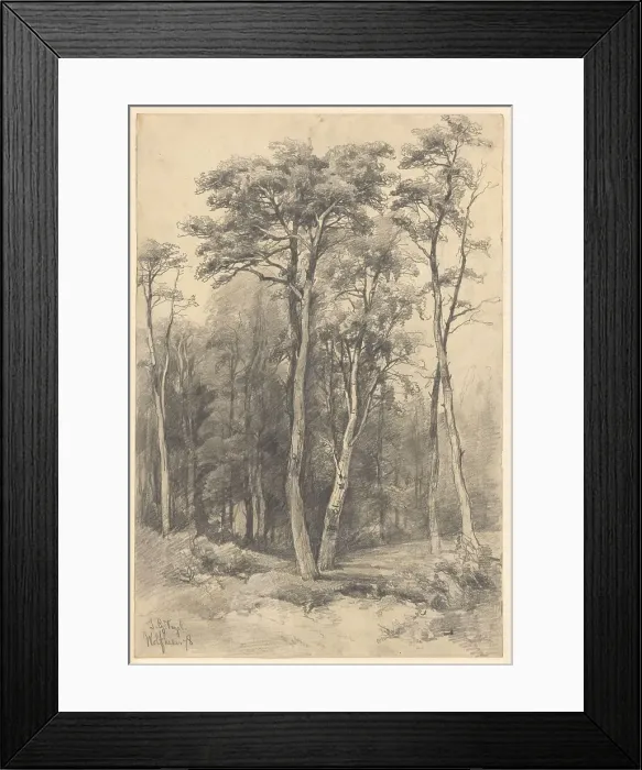 Framed Print : Forest in Wolfheze, 1878. Creator: Johannes Gysbert Vogel Framed Print : Forest in Wolfheze, 1878. Creator: Johannes Gysbert Vogel