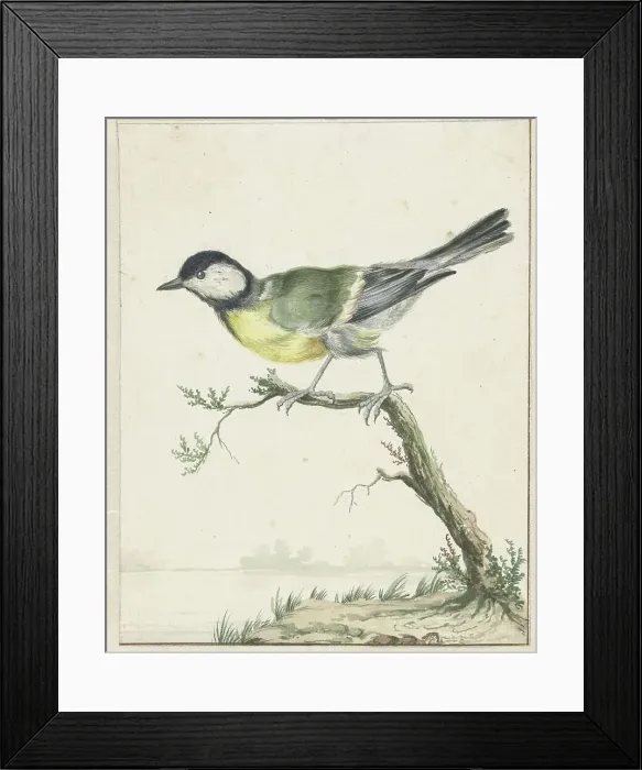 Framed Print : Coal tit, 1650-1719. Creator: Jan Weenix Framed Print : Coal tit, 1650-1719. Creator: Jan Weenix