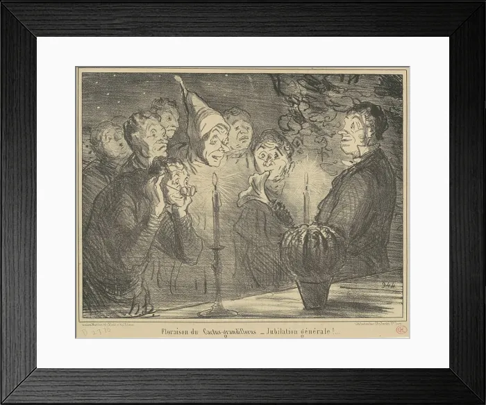 Framed Print : Floraison du Cactus-grandiflorus... 19th century. Creator: Honore Daumier Framed Print : Floraison du Cactus-grandiflorus... 19th century. Creator: Honore Daumier