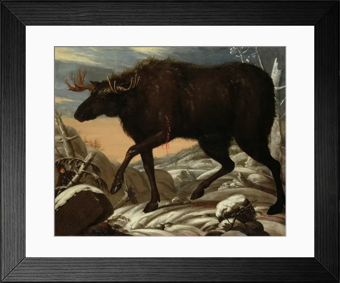 Framed Print : Moose, c17th century. Creator: David Klocker Ehrenstrahl Framed Print : Moose, c17th century. Creator: David Klocker Ehrenstrahl